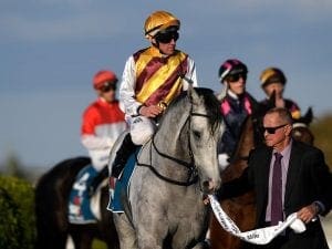 Silvera to stick to Listed class in Sydney
