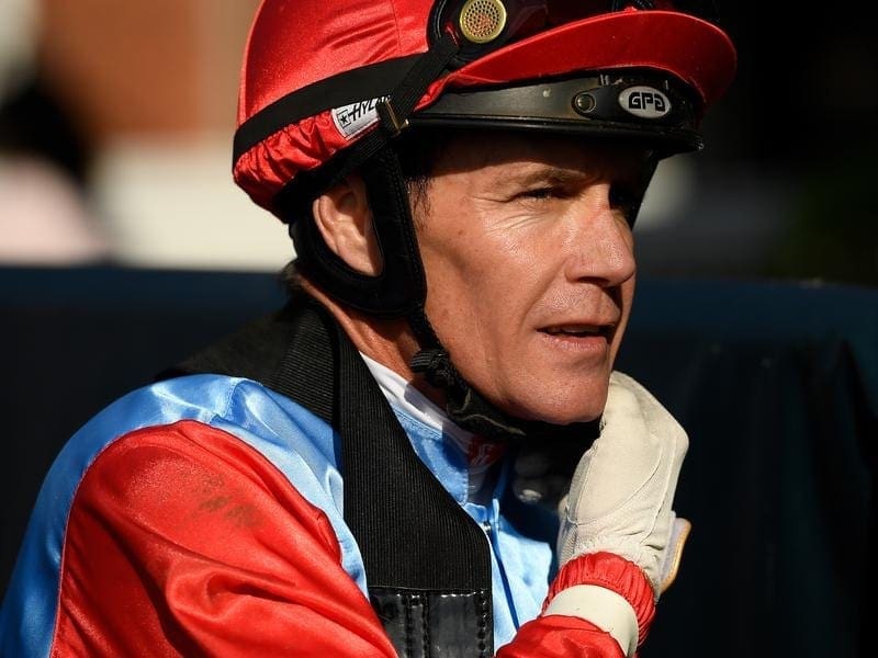 Zimbabwean jockey Mark Du Plessis