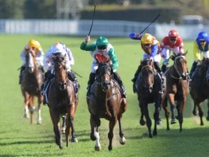 Guineas races attract strong entries