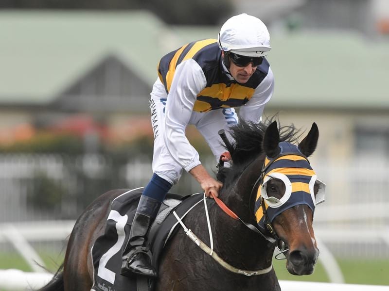 Quick Thinker wins in the wet at Rosehill.