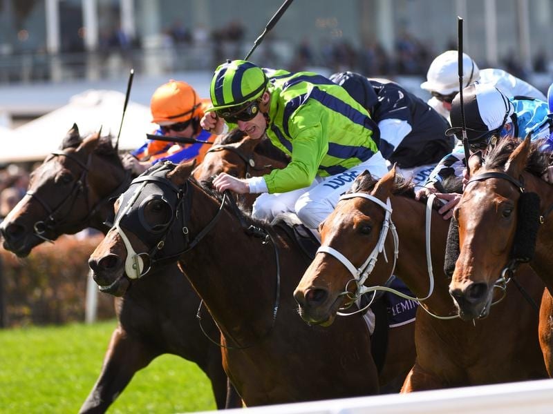 Alfharris (right) has edged out a wall of horses to win at Flemington.