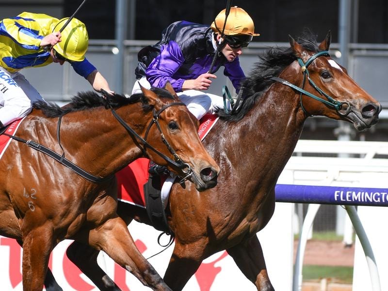 Legionnaire (right) holds on to win at Flemington.