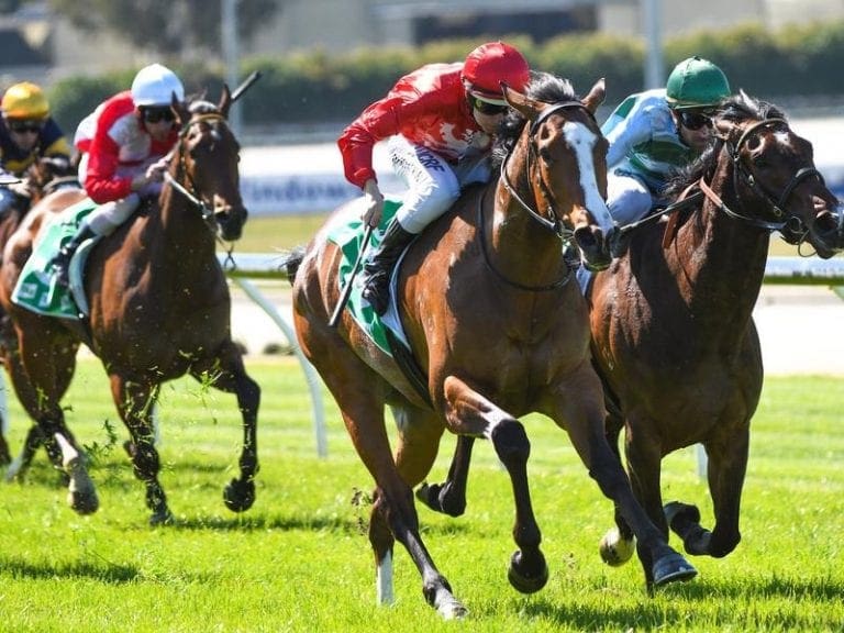 Australian Horse Racing, Online Betting & Tips | HorseBetting.com.au