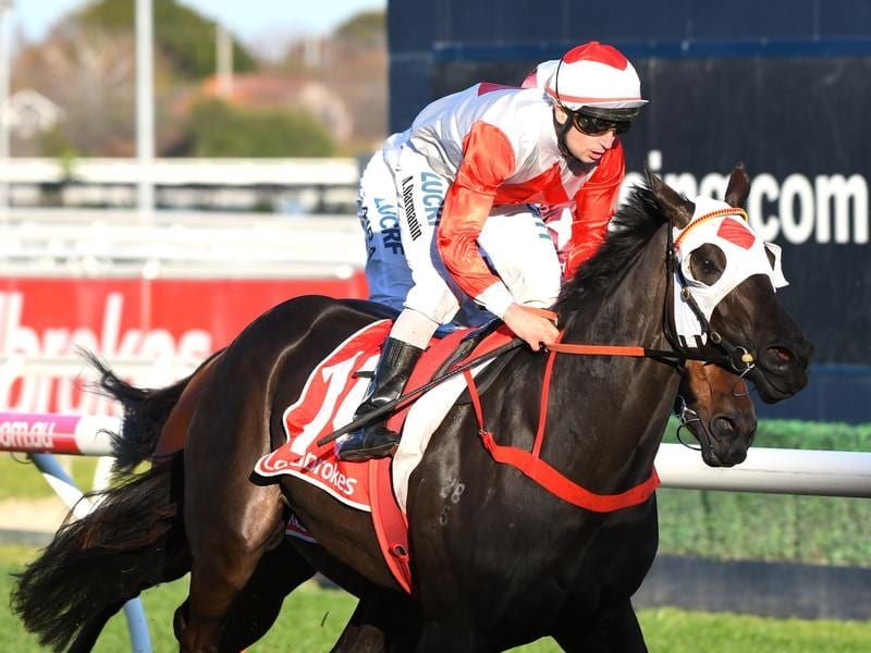 Mystic Journey is favourite for the Makybe Diva Stakes.