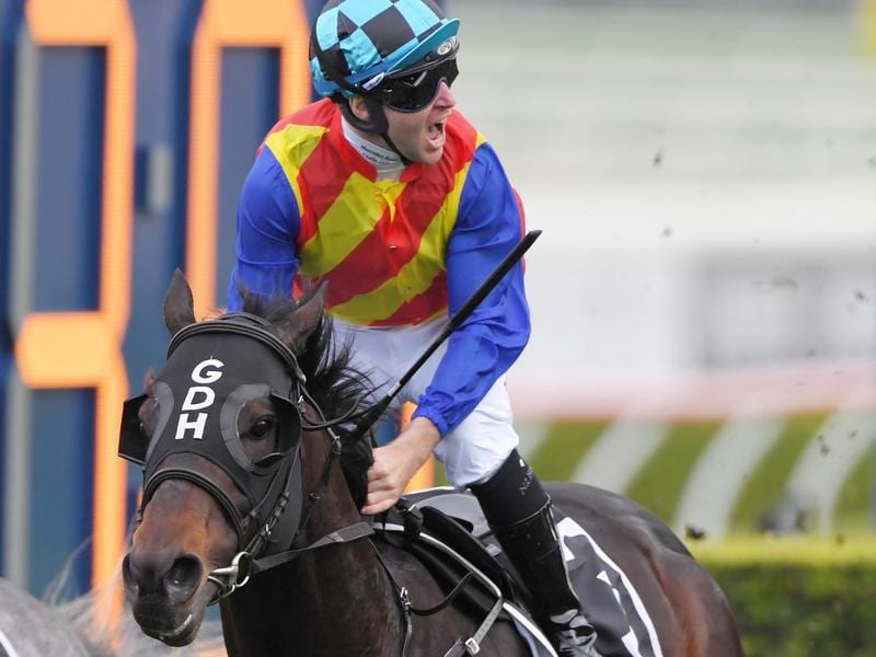 Pierata is the new favourite to win the $14 million Everest.