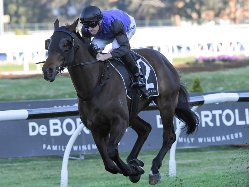 Joshua Parr rides Shadow Hero to victory in race 8 at Rosehill