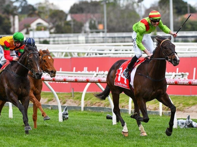 Begood Toya Mother wins the Rupert Clarke | Horse Betting