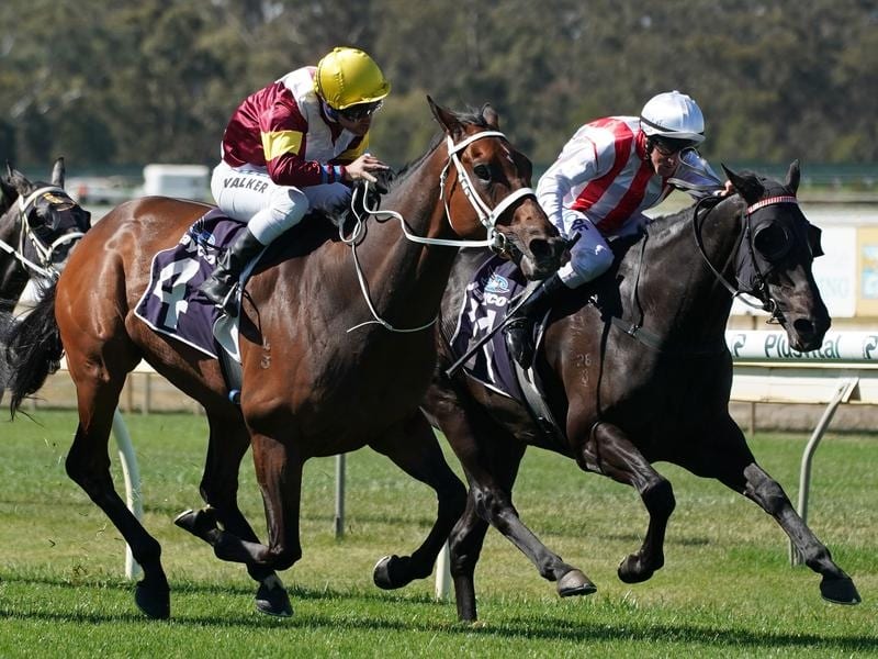 Top Of The Range (right) wins the Bendigo Cup.