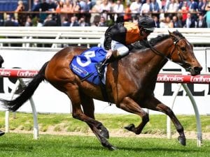 Rox The Castle wins Weekend Hussler Stakes