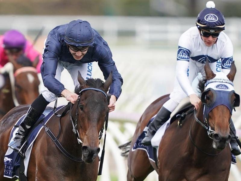 Gamay wins the Ethereal Stakes at Caulfield.