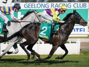 Geelong racing tips and best bets for June 6 2021