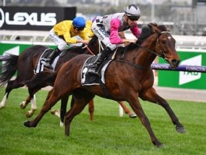 Childs the Turnbull day Star of the Saddle