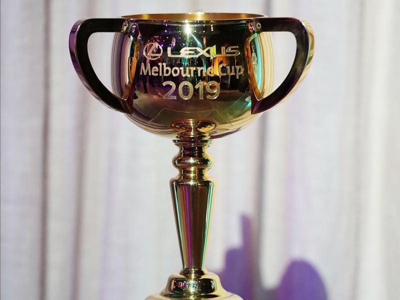 The 2019 Lexus Melbourne Cup trophy