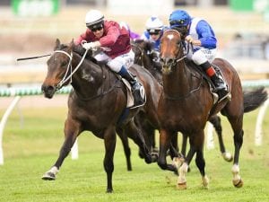WA moves to keep track of racehorse fate