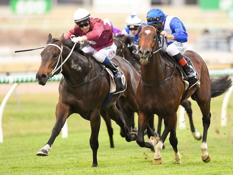 Horse-racing in Brisbane, September 2019.