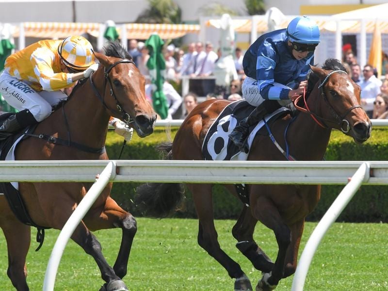 See You Soon (right) wins at Randwick.