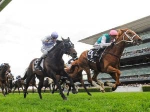 Waller with two chances in Group 1 Turnbull Finche