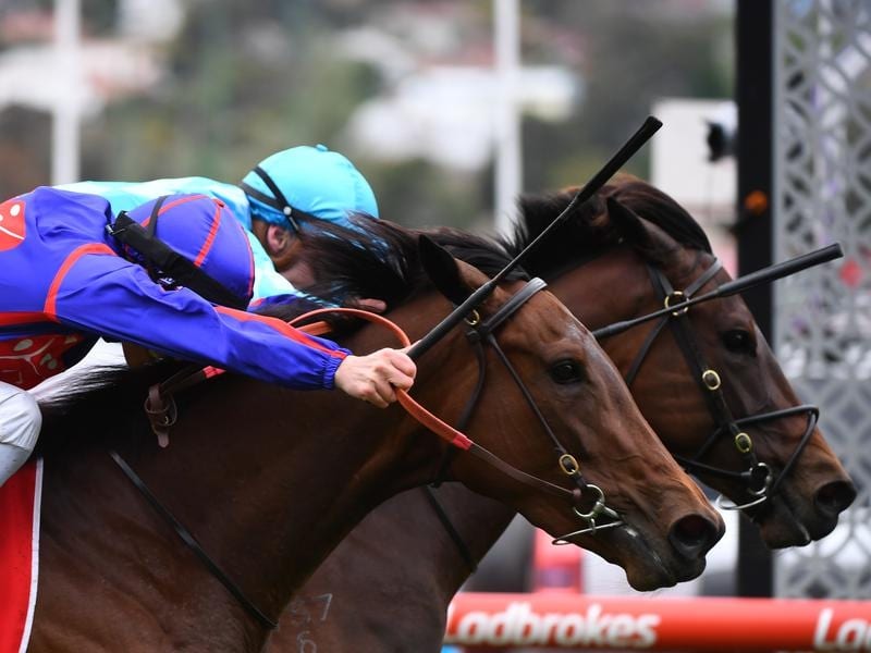 A dead-heat in the Fillies Classic at The Valley.