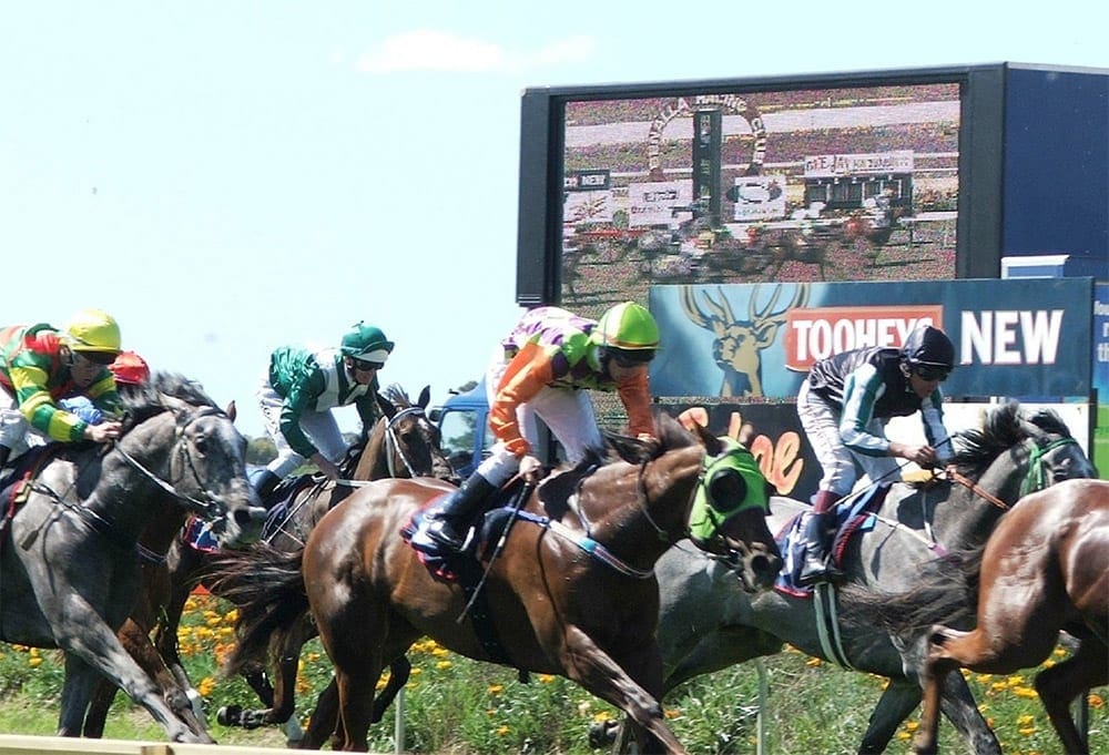 Country Racing Victoria