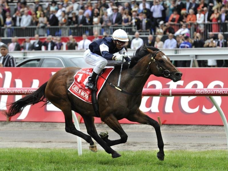 Green Moon wins the 2012 Melbourne Cup.