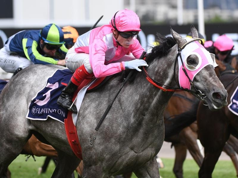 Star Missile wins the $500,000 Country Final at Flemington.