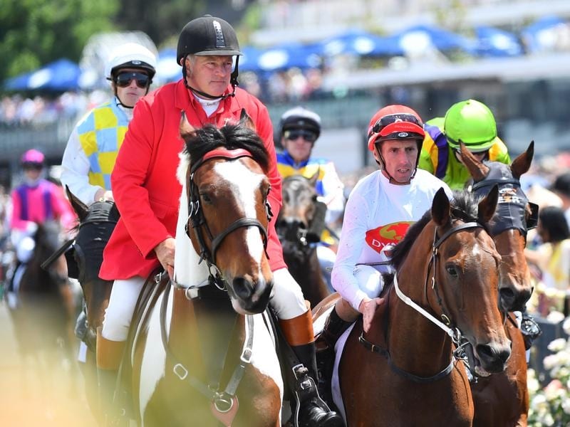 Teleplay returns to scale at Flemington.