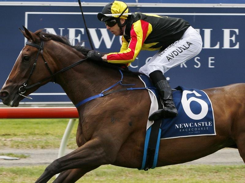 House Of Cartier wins at Newcastle.