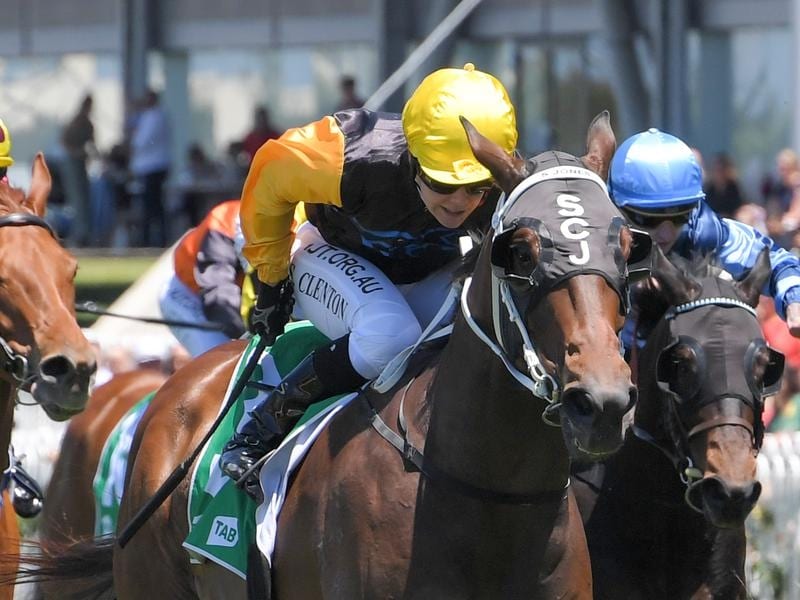 Hit The Target wins at Rosehill.