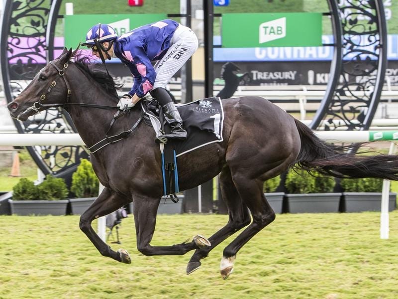 Capital Connection winning at Eagle Farm.