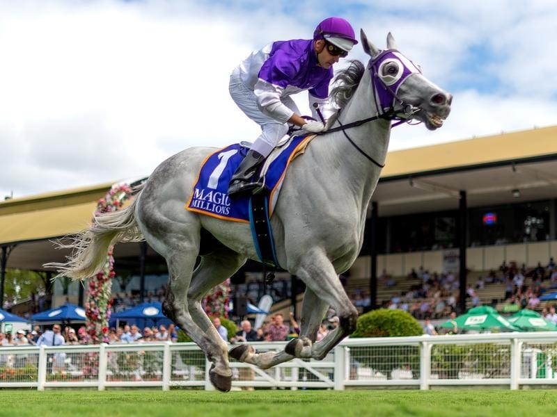 The Candy Man is expected to put in a strong showing in the Australian Turf Club Trophy