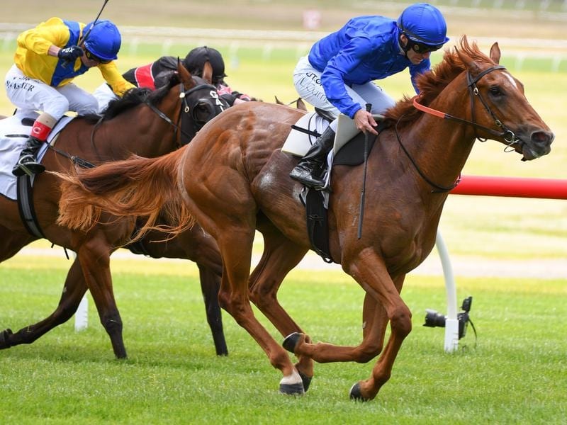 Luke Currie rides Hanseatic to victory in the Merson Cooper Stakes
