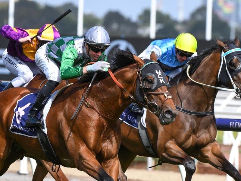 How To Bet Horses Successfully