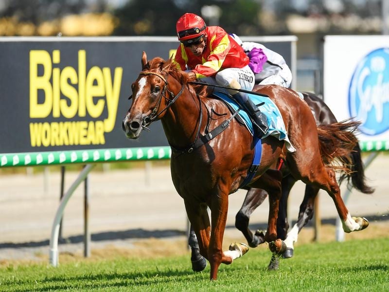 Wisdom Of Water wins at the Gold Coast.