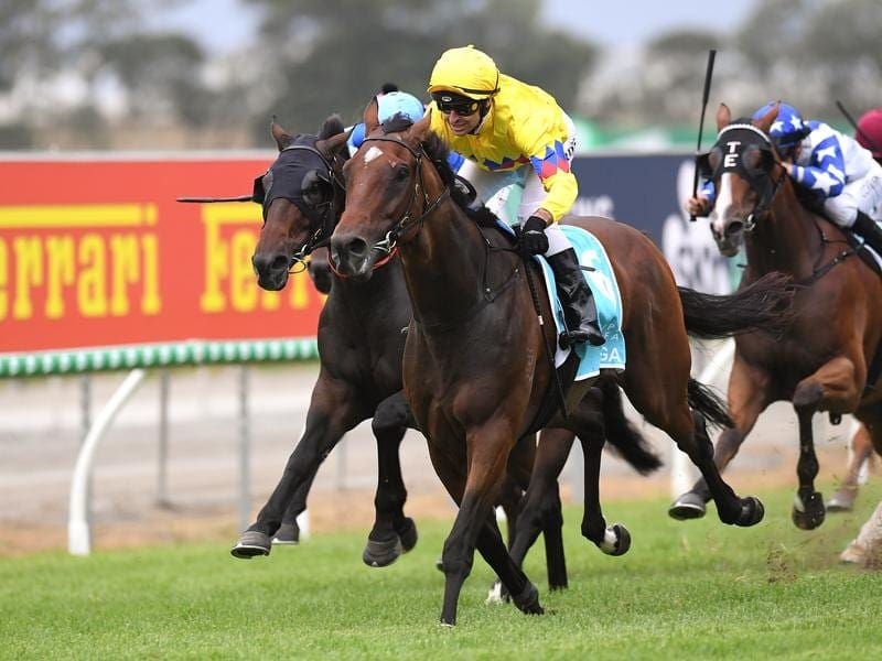 Vega One wins the Magic Millions Cup.