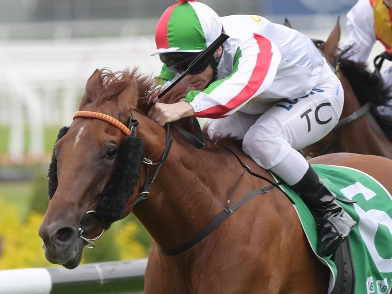 Vegadaze is one of 10 acceptors for the Expressway Stakes.
