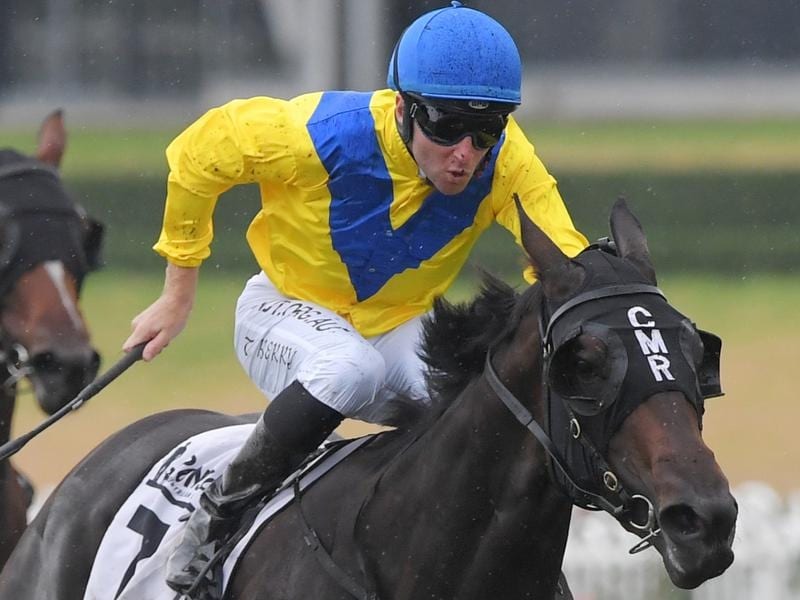 Tommy Berry rides Cellsabeel to victory in race 1 at Rosehill