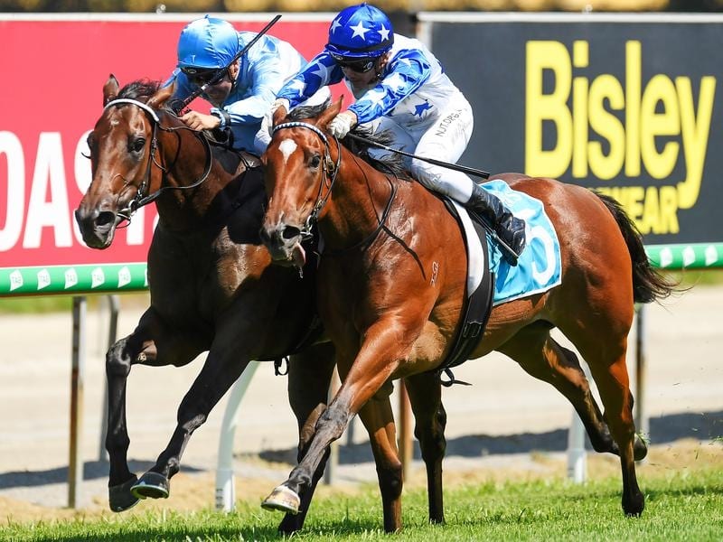 Ryan Maloney rides Queen Kay (left) to victory at the Gold Coast