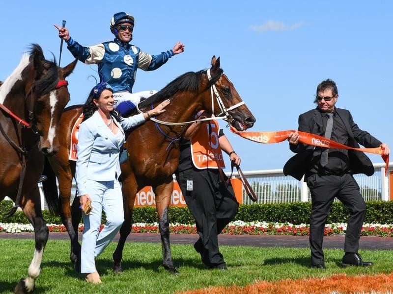 Tagaloa returns to scale after winning the Blue Diamond Stakes.