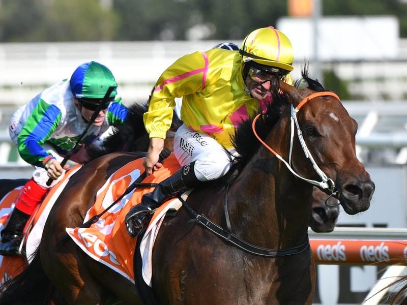 Sylvia's Mother wins the Bellmaine Stakes at Caulfield.