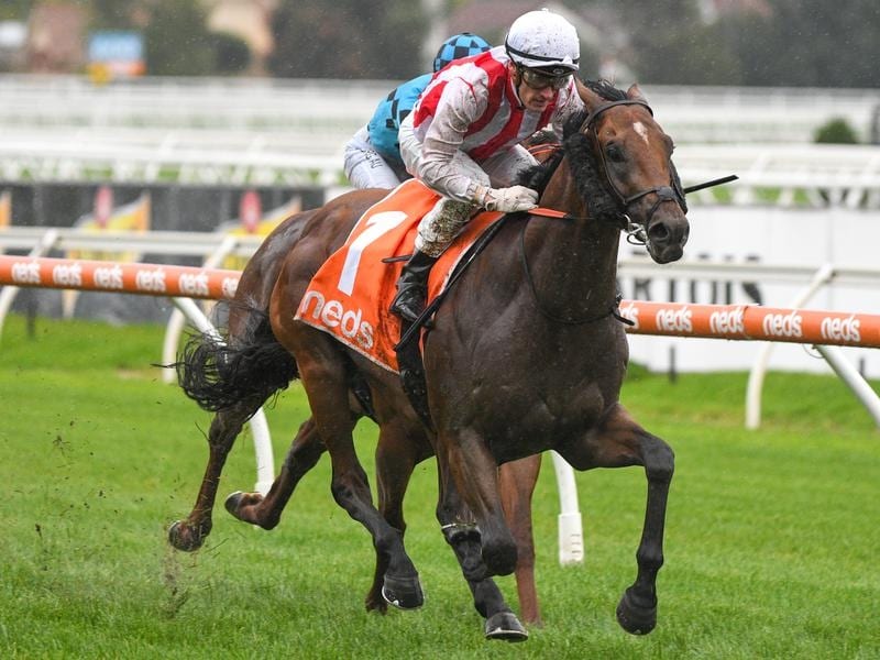 Super Seth wins the Manfred Stakes at Caulfield.