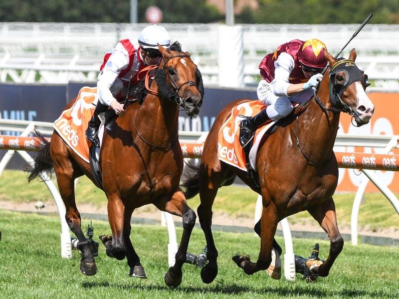 Streets Of Avalon (right) beats Super Seth in the Futurity Stakes.