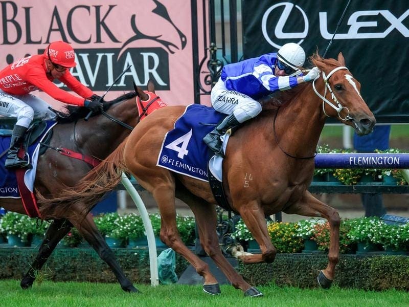 Gytrash wins the Lightning Stakes at Flemington.