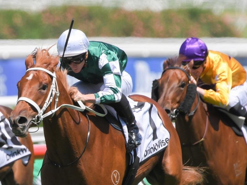 Free tips for the Pharlap Stakes - Hungry Heart is favourite to win