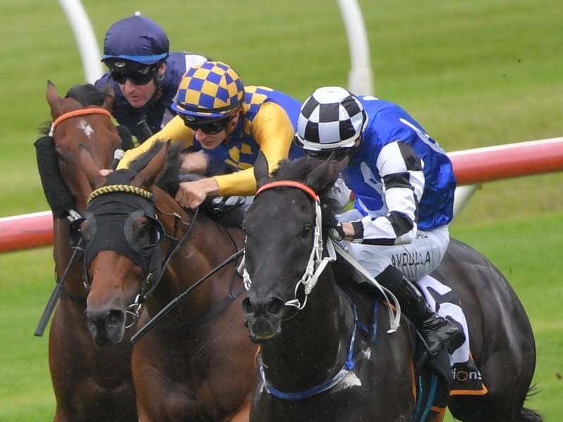 Special Reward wins the Southern Cross Stakes.