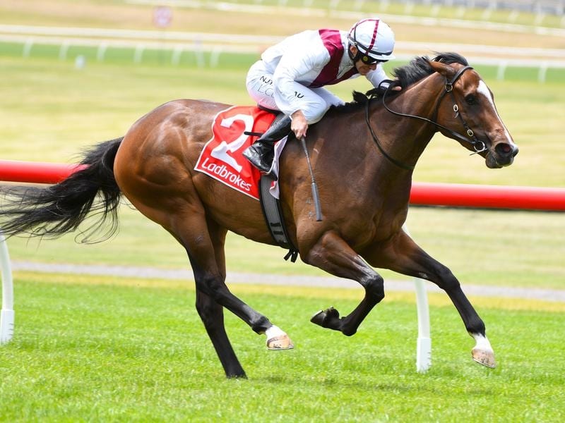 Luke Currie rides Xilong to victory in the Twilight Glow Stakes