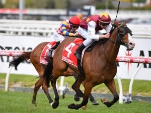 Streets Of Avalon in form for All-Star bid