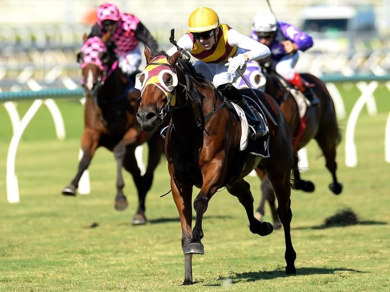 Get Stuck In wins at Eagle Farm.