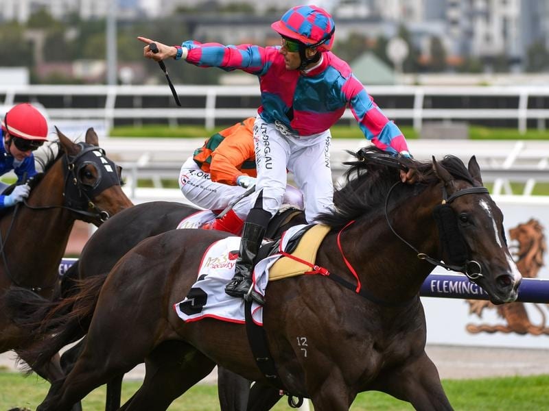 Lunar Fox wins the VRC Sires' Produce Stakes.