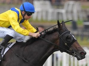 Cellsabeel out of Reisling Stakes