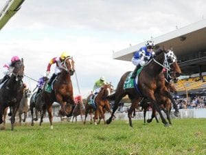 Ligulate new favourite for Country Champs